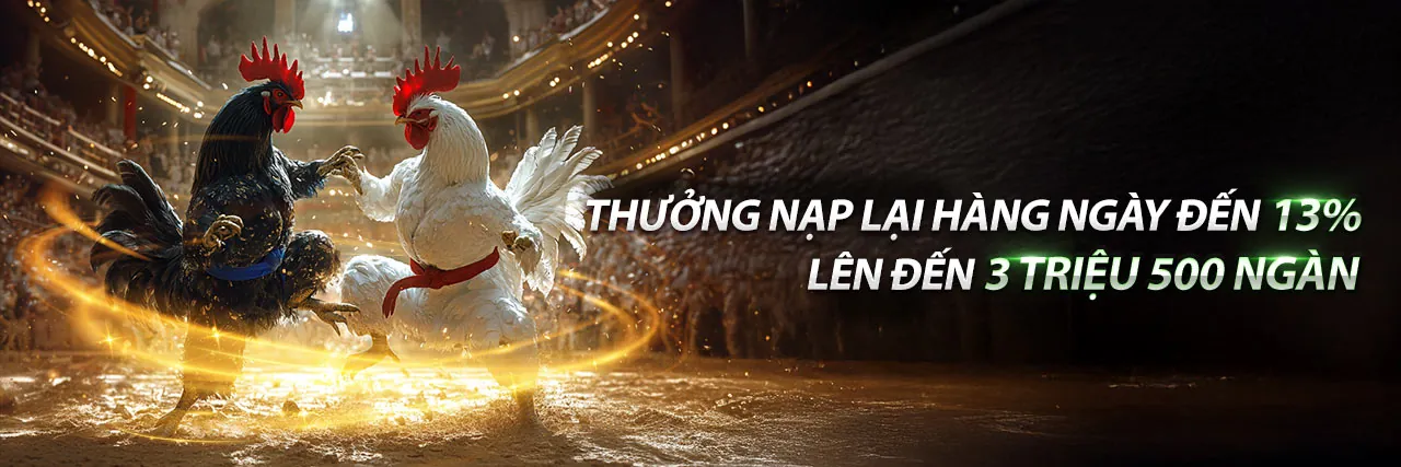 Tổng quan các ưu đãi và khuyến mãi mới nhất từ 95vn12