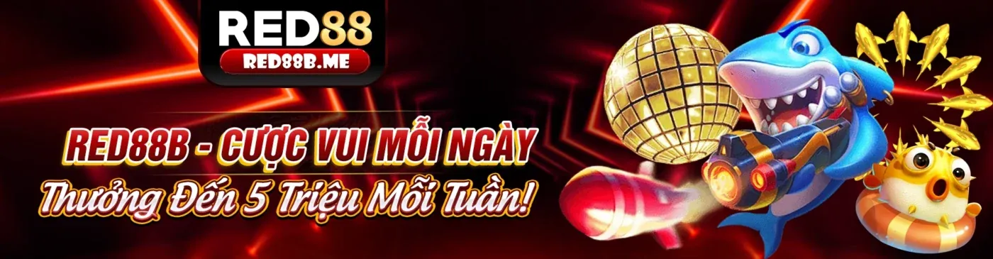 Hình ảnh chính hướng dẫn tải ứng dụng 95vn12