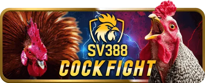 Chương trình hoàn trả cược thua 95vn12