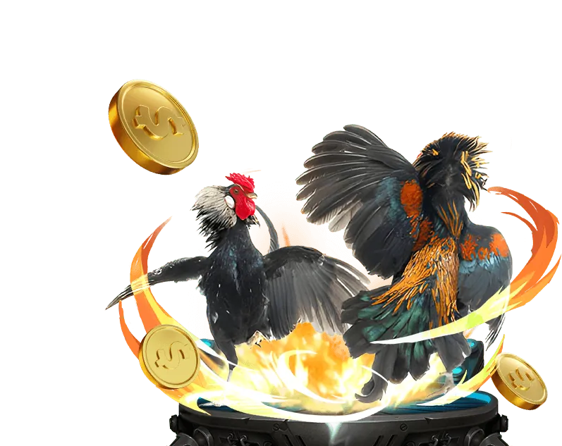 Người chơi Poker với lá bài và chip cược
